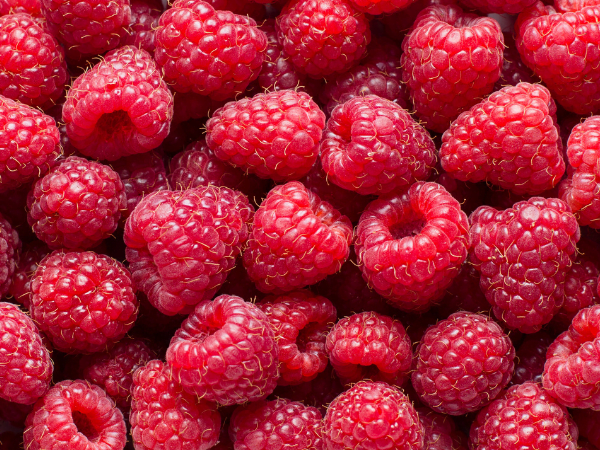 Raspberry - রাস্পবেরি - Raspberry