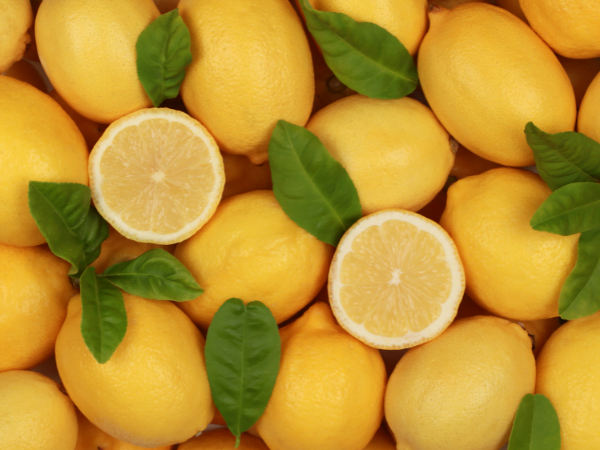 Lemon - লেবু - Lebu