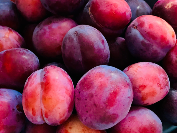 Plum - বরই - Boroi