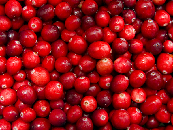 Cranberry - ক্র্যানবেরি - Cranberry