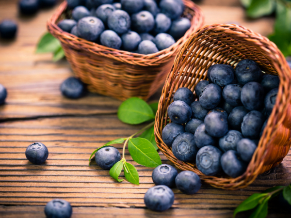 Blueberry - ব্লুবেরি - Blueberry