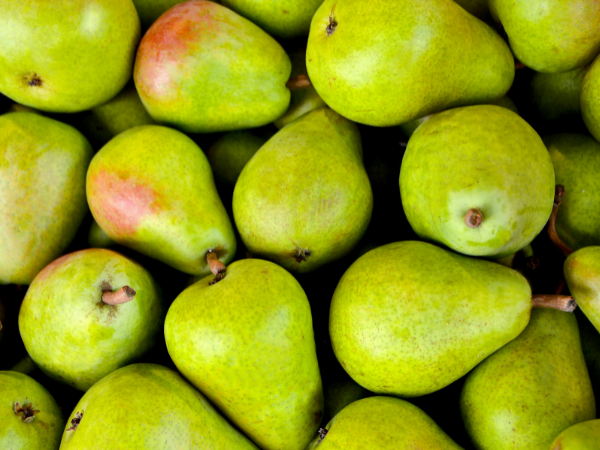 Pear - নাশপাতি - Nashpati