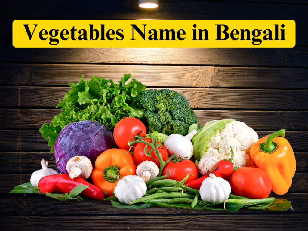 learn-bengali-now-bangla-bhasha